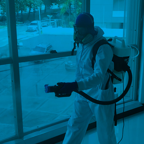 Desinfección de aeronaves y vehículos